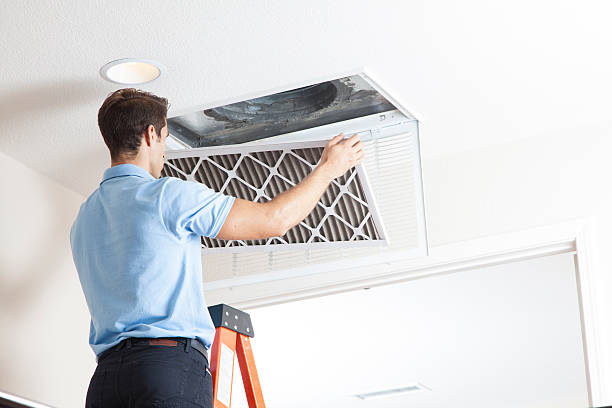Best Air Filters and Purifiers in Farm Loop, AK